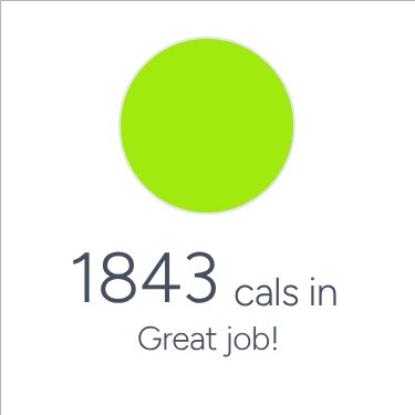 Fitbit app – Food